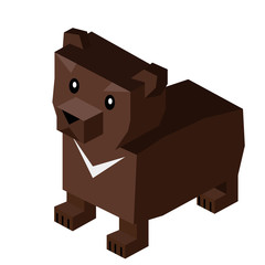 Wild Animal Bear Isometric 3d Design