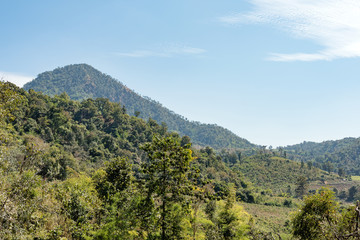 Fototapeta na wymiar Green forest, green mountain in Tak province, Thailand