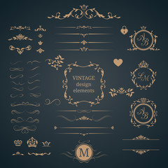Vintage set of decorative elements