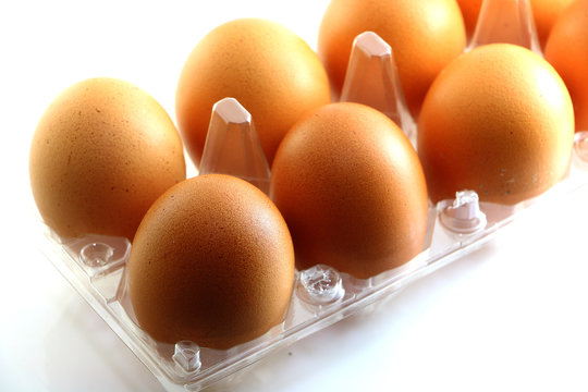 Eggs on plastic tray