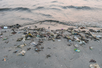 Obraz premium plastic on the beach