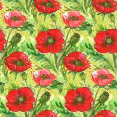 Red Poppies Flower Watercolor Illustration