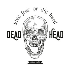 Hand drawn skull in mochrome line art graphic. Vector 