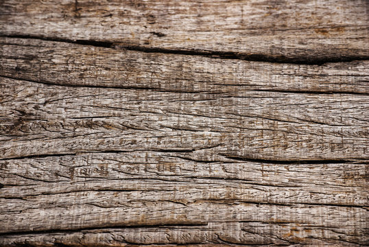  Texture - a bark of an Tree