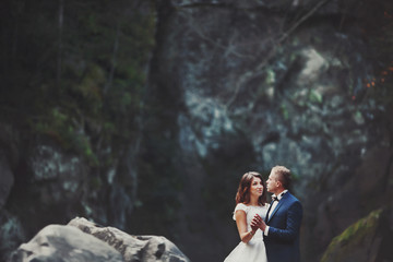 elegant stylish happy brunette bride and gorgeous groom on the b