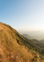 Golden mountain ridge, Beautiful mountain ridge for hiking at Doi Tu Lay (Mon Tu Lay) , Tak province Thailand