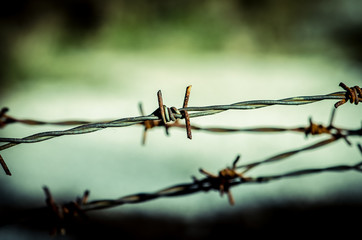 barbed wire fence