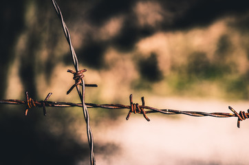 rusty barbed wire fence