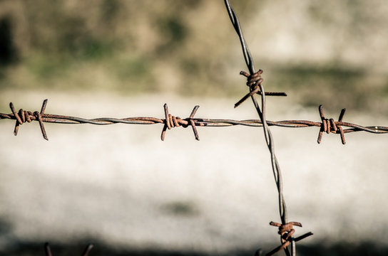 rusty barbed wire fence