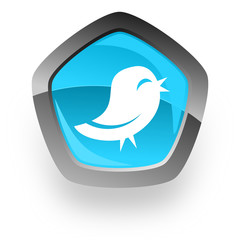 blue metallic chrome web pentagon glossy icon