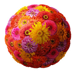 sphere from zinnia elegans flowers