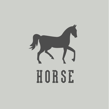 Laconic horse sign monogram, mare, into flat style, vector illustration.