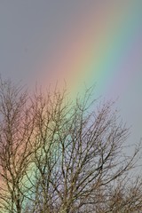 arc en ciel par temps d'orage