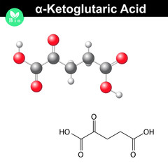alpha-Ketoglutaric acid molecule