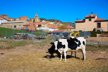 Royuela village Sierra de Albarracin Teruel Spain