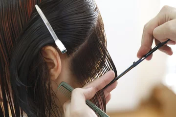 Fotobehang stylist hairdresser doing haircut © homonstock