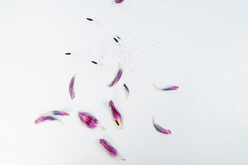 dead tulip petals and pollen on a white pianted wooden background