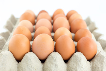 Eggs in  tray  on white background