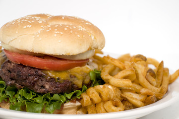 Burger with cheddar abd curly fries