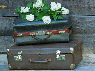 коричневый чемодан, саквояж и ветка белого жасмина на фоне темного дерева