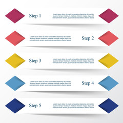 Vector lines infographic.