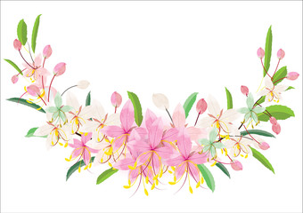 pink flowers with green leave for border or frame on white background,vector illustration