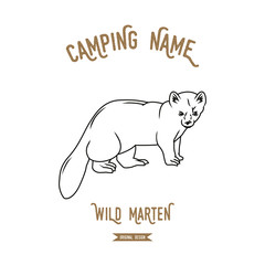 Forest marten vector illustration. European animals silhouettes