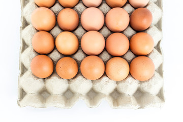 Eggs in  tray  on white background