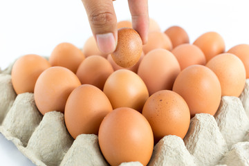 Eggs in  tray  on white background