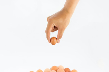 Eggs in  tray  on white background