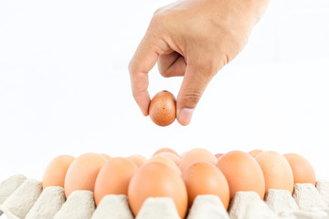 Eggs in  tray  on white background