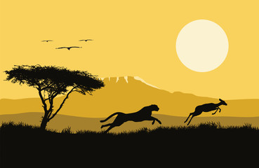 Naklejka na ściany i meble Vector illustration of africa. wild life. hunting. africa logo. Jaguar and antelope.
