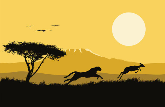 Vector illustration of africa. wild life. hunting. africa logo. Jaguar and antelope.