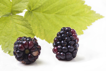 two ripe blackberries with leaves