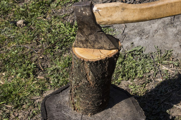 ax chopping logs