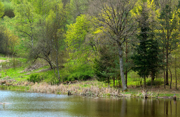 colorfull spring landscape