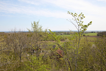 Spring Landscape