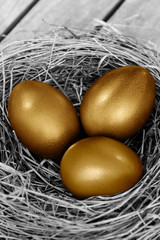 Golden easter egg in nest