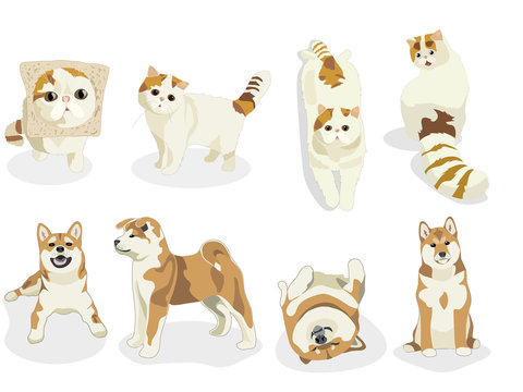 Cat and Dog characters. Cartoon styled illustration. Shiba inu. Tabby van set