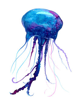 Jellyfish watercolor illustration. Medusa painting isolated on white background, colorful tattoo design