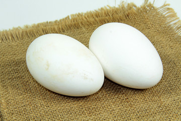 oeufs d'oies 23022016