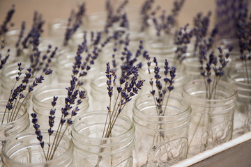 lavender in glass jar flower photo
