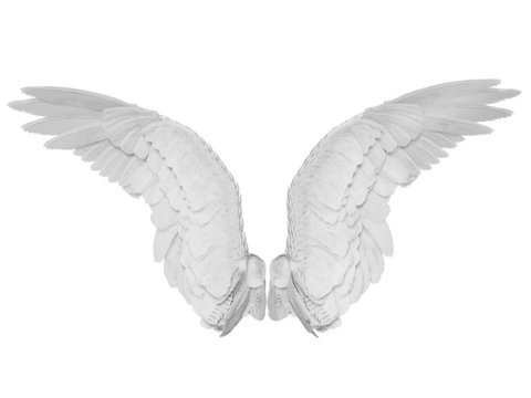 Wings isolated on the white background