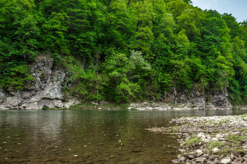 forest river with stones on shores