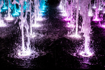 violet fountains
