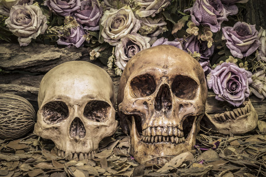 still life couple human skull with roses