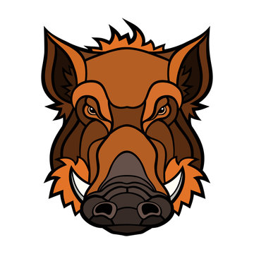 recommend clip art: Head of boar mascot color design