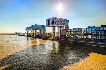 Fototapeta premium Köln