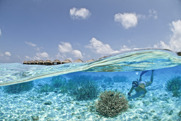 REEF EXPLORER / This shot was made next to the water villas at the indian ocean. dairying this shooting the model was having so much fun exploring the corals!