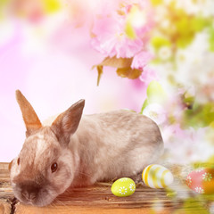 Funny little rabbit. Easter background.